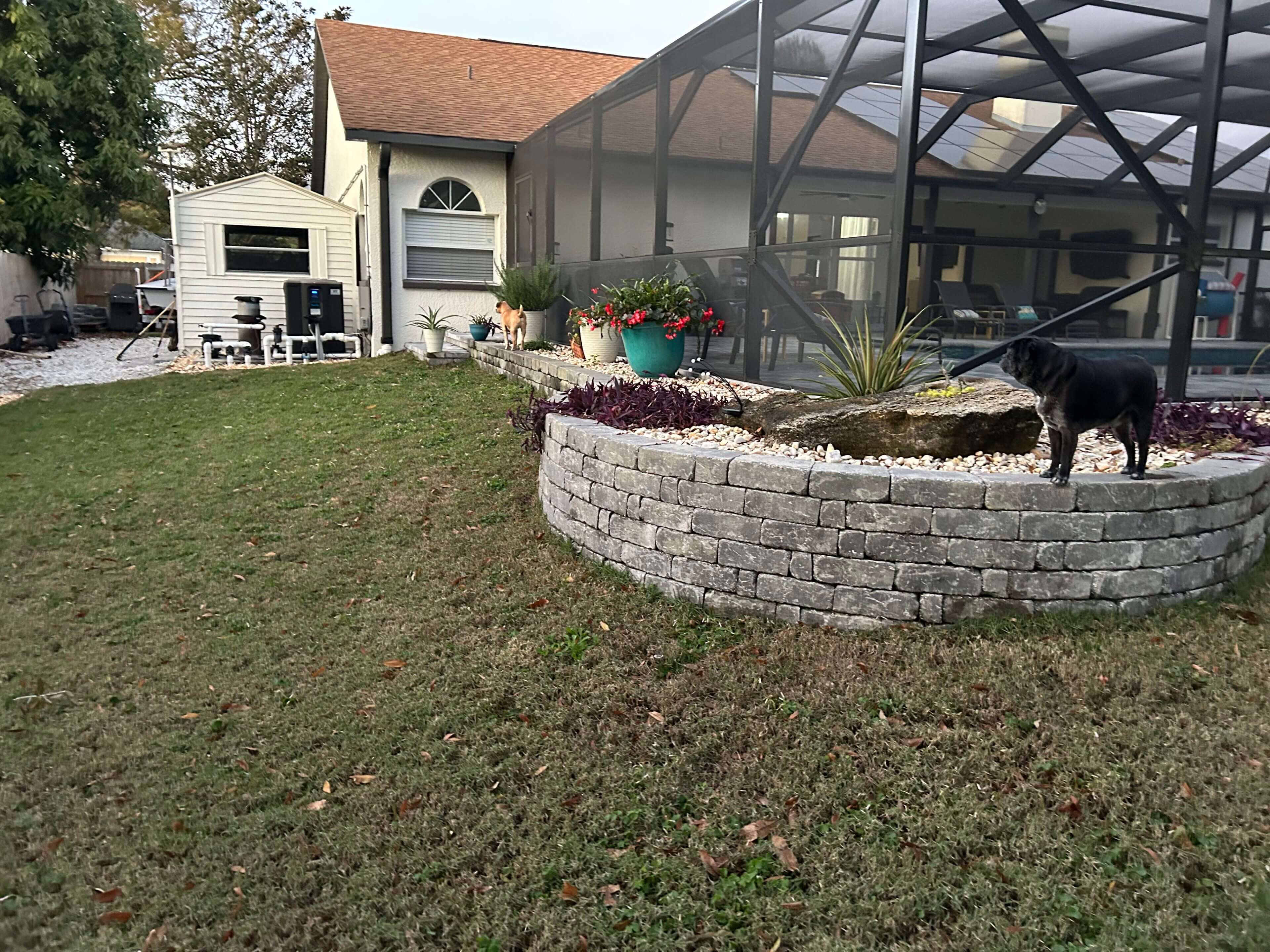 Here's an alt tag for the image: Dogs in backyard by stone wall.
